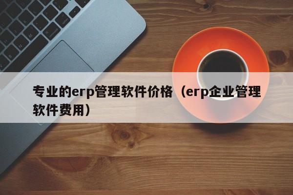 专业的erp管理软件价格（erp企业管理软件费用）