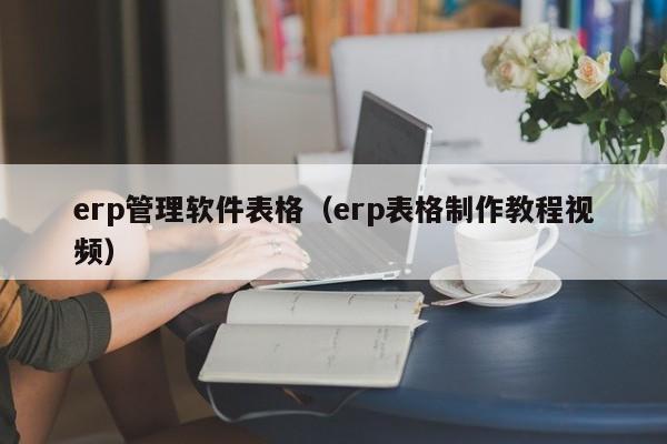 erp管理软件表格（erp表格制作教程视频）