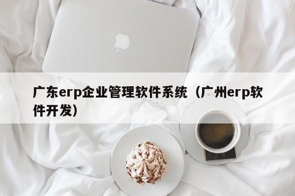 广东erp企业管理软件系统（广州erp软件开发）