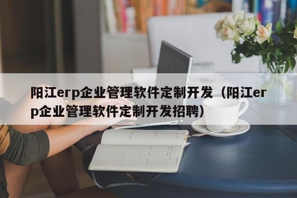 阳江erp企业管理软件定制开发（阳江erp企业管理软件定制开发招聘）