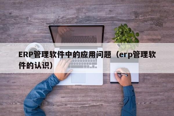 ERP管理软件中的应用问题（erp管理软件的认识）