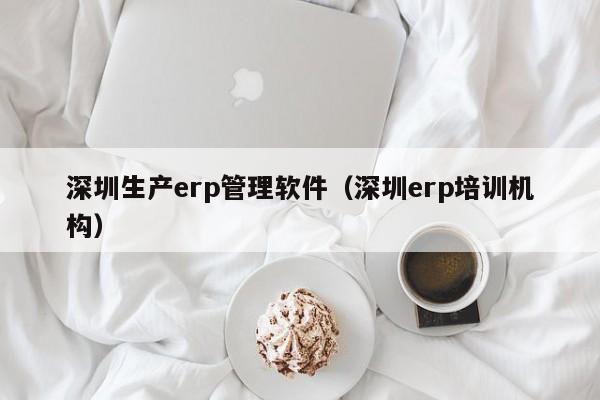 深圳生产erp管理软件（深圳erp培训机构）