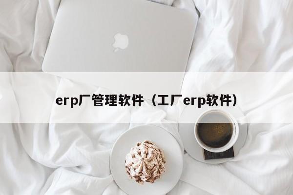 erp厂管理软件（工厂erp软件）