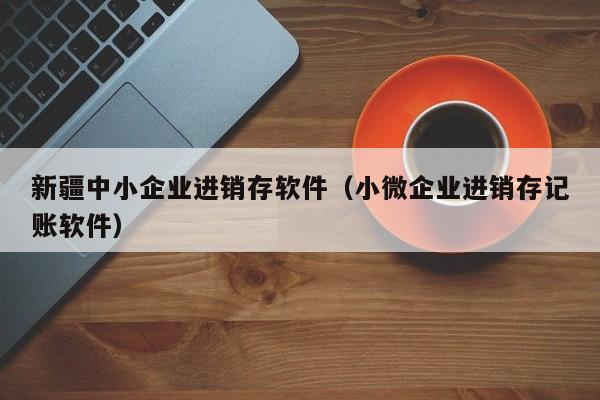 新疆中小企业进销存软件（小微企业进销存记账软件）