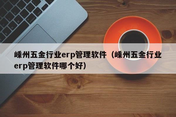 嵊州五金行业erp管理软件（嵊州五金行业erp管理软件哪个好）