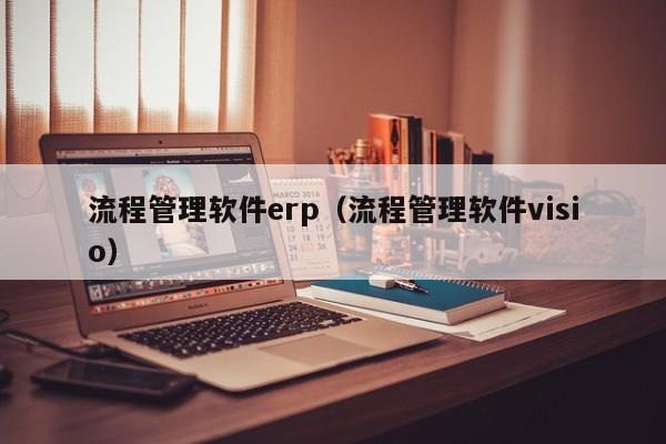 流程管理软件erp（流程管理软件visio）