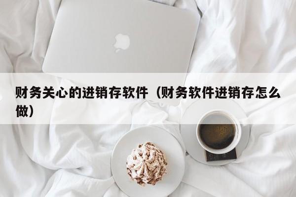 财务关心的进销存软件（财务软件进销存怎么做）