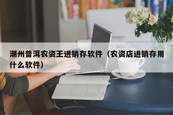 潮州普洱农资王进销存软件（农资店进销存用什么软件）