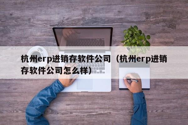 杭州erp进销存软件公司（杭州erp进销存软件公司怎么样）